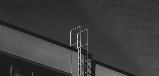 The ladder