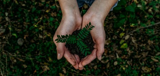 noah-buscher-x8ZStukS2PM-unsplash
