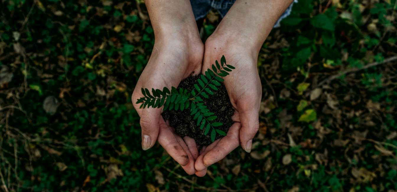 noah-buscher-x8ZStukS2PM-unsplash